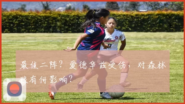 最佳二阵?爱德华兹受伤,对森林狼有何影响?